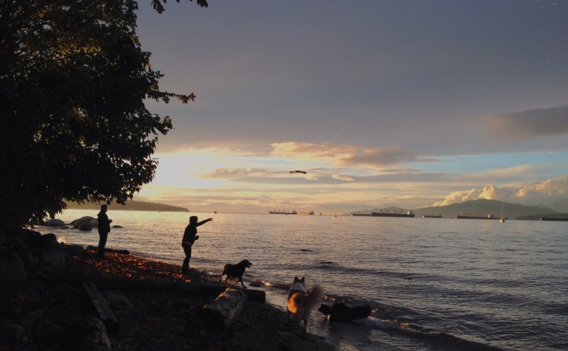 While in Vancouver :&nbsp;Downtown