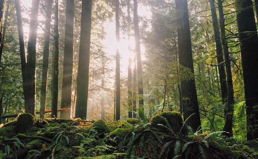 While in Vancouver : North&nbsp;Vancouver