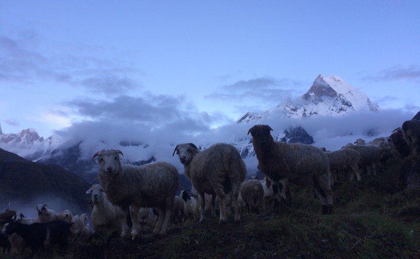 The End of the Open&nbsp;Road